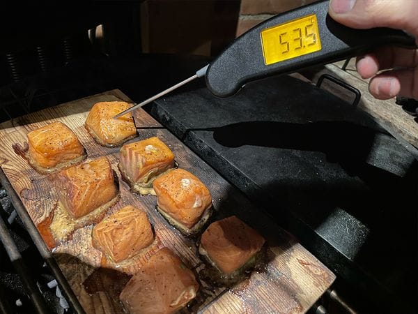 Een kernthermometer in een zalm bonbon die een temperatuur van 54 °C aangeeft